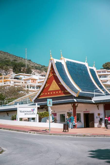 Butterfly Park Benalmádena: 1,500 butterflies behind a Thai temple