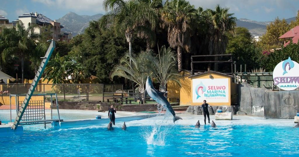 Selwo Marina Benalmádena: dolphins, penguins and a half-day plan